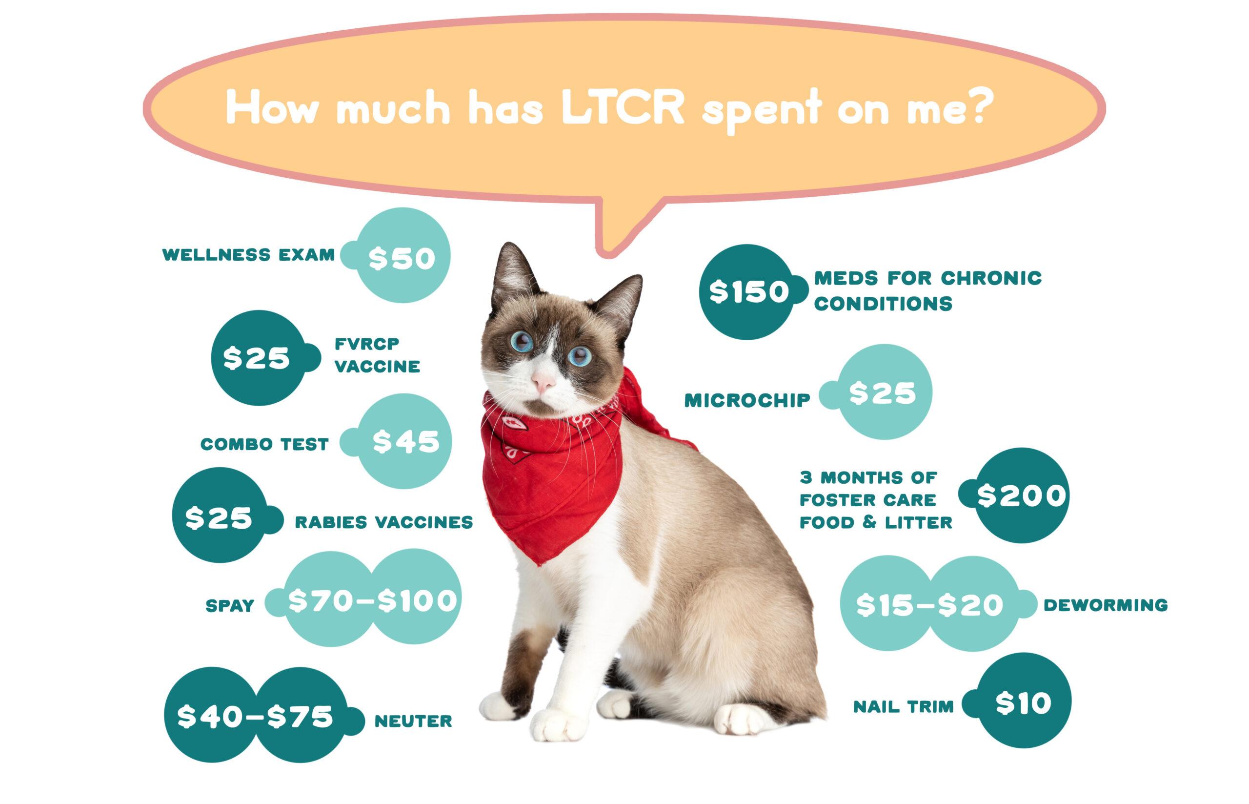 diagram of cat costs