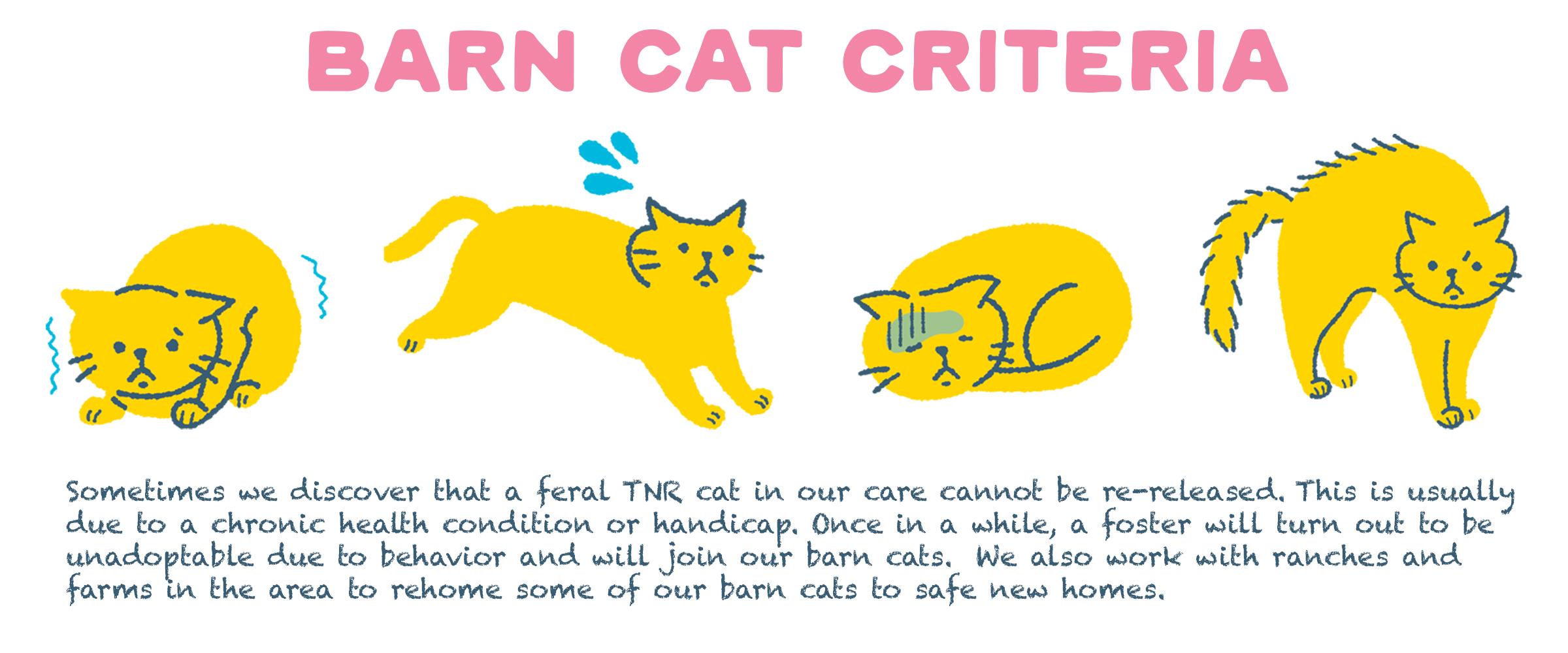 barn cat criteria