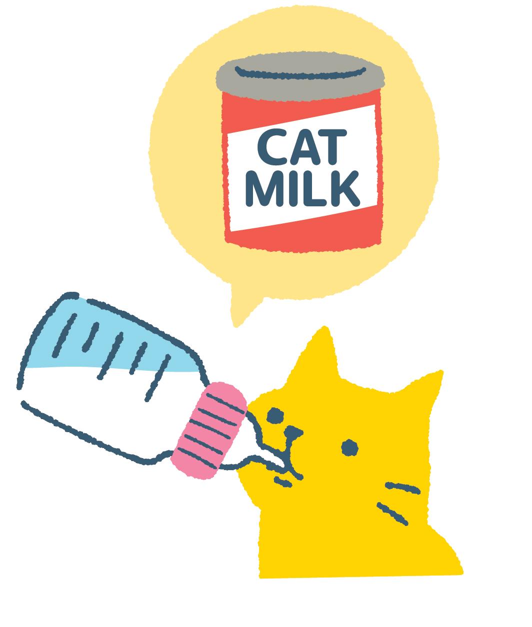 cat milk