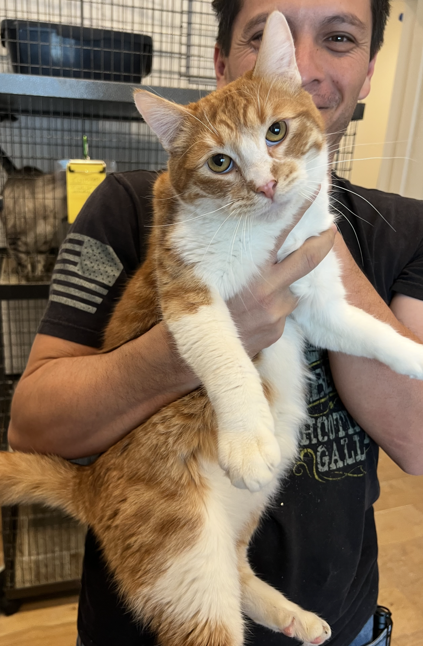 Marigold – La Tuna Cat Ranch